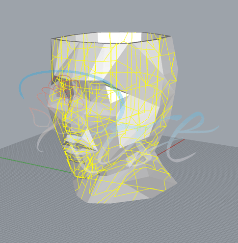 مدل سازی کامل سر در شرکت پرینت سه بعدی رز
